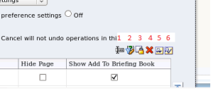 page options - explained